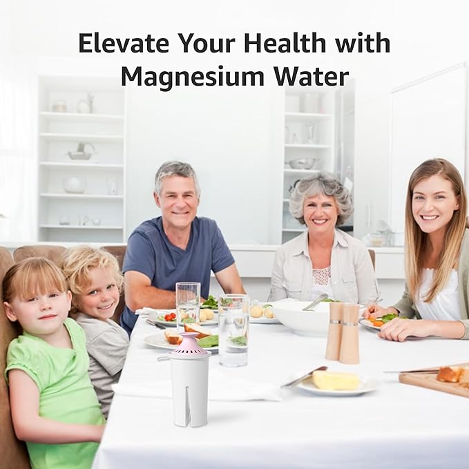 Overbest Magnesium Pitcher Water Filter, Replacement for Brita® Pitchers and Dispensers, Brita® Classic 35557, OB03, Mavea® 107007, and More, Includes 6 Filters