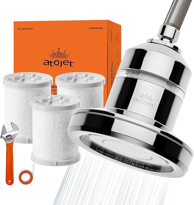 Core Shower Filter Shaped by Korea’s Beauty History - Pure Carbon Filters for Softer Skin & Smoother Hair | Carbon Composite Filter | 6 Month Set (JNE900C-SET-8MO)