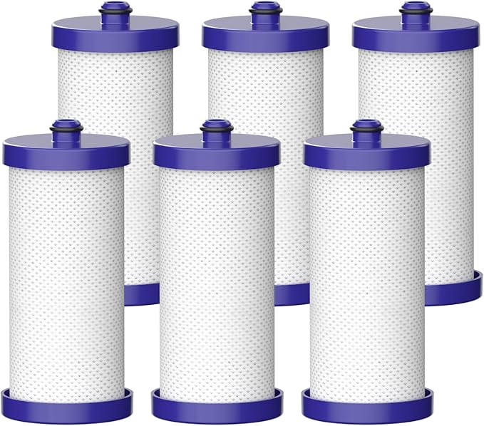 Waterdrop WF1CB Replacement for Frigidaire® PureSource WFCB®, RG100, NGRG2000, WF284, 9910, 469906, 469910 Refrigerator Water Filter, 6 Filters