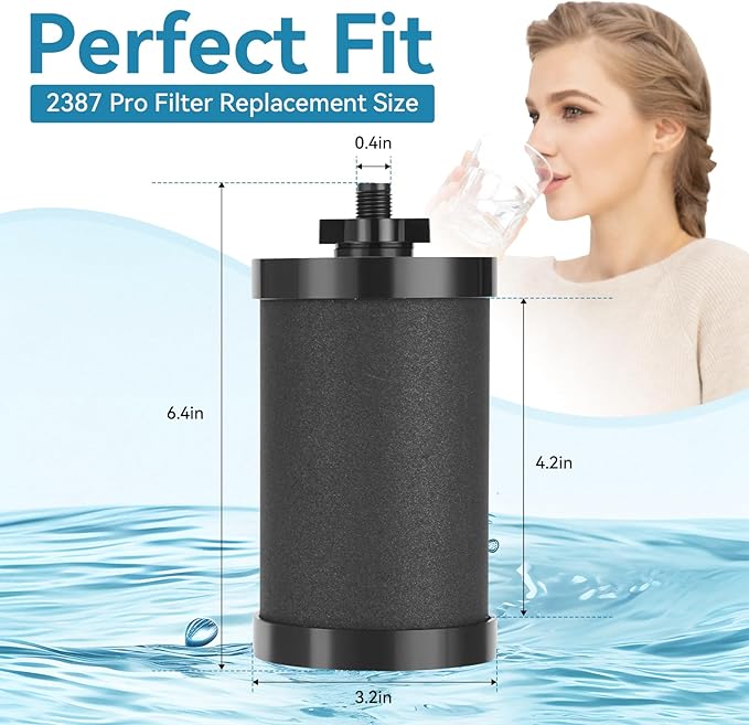 2 PCS 2387 Pro Replacement Water Filter, Compatible with Alexapure Water Filtration System Has a 5000 Gallon Throughput Capacity for Outdoor Camping, Emergency Water Use (Black)