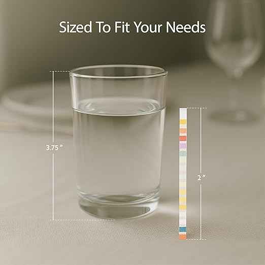 Restaurantware Instant Multiple-Use Water Test Kit 100 Count 17-in-1 Water Test Kit, 2 Bacteria Tests, For Tap & Well Water, Chlorine Testing Strips, Tests For Lead, Bacteria, Hardness, Fluoride