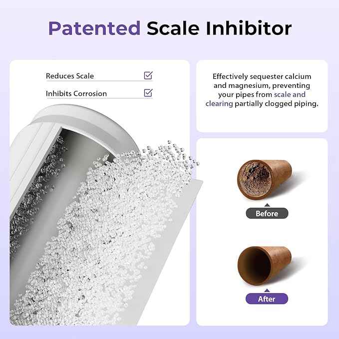 iSpring Anti-Scale Whole House Water Filter System, Reduces up to 99% Chlorine, Odor, and Sediments, 2-Stage Water Descaler and Whole House Water Filter, 1" Inlet/Outlet, Model: WGB21B-DS