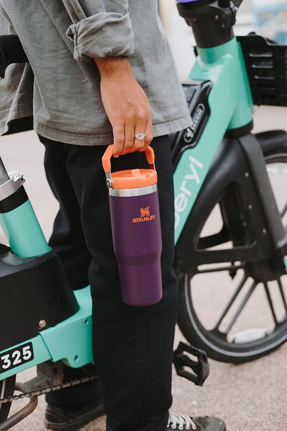 STANLEY IceFlow 2.0 Flip Straw Tumbler with Handle 30 oz | Twist On Lid and Flip Up Straw | Leak Resistant Water Bottle | Insulated Stainless Steel | BPA-Free | Coastal Teal