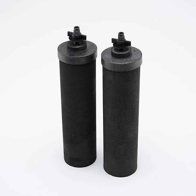 Set of 2 Berkey Authentic Black Berkey Elements (BB9-2) and 2 PF-2 Fluoride Reduction Elements - Combo Pack