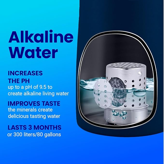 DYLN VitaBead Diffuser | Creates Hydrogen-Rich, pH 9+ Alkaline Antioxidant Water | Replacement for DYLN Bottle | Natural Mineral Ionized Hydrogen Generator for Delicious Tasting Water | 1-Pack