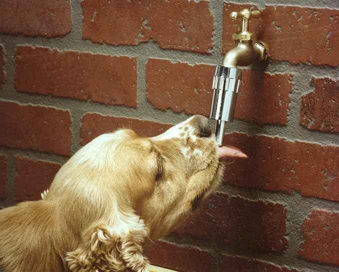 Lixit® L100 Water Faucet Automatic Fountain for Dogs and Other Pets - Made in USA (2 Pack)
