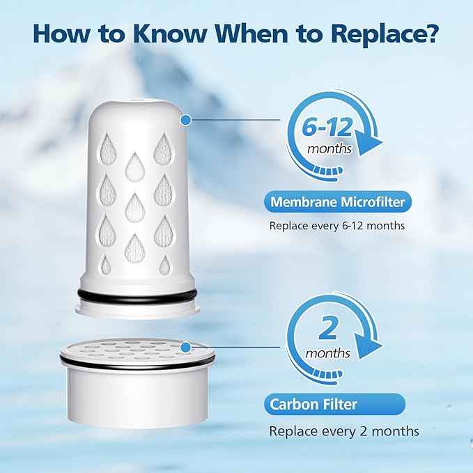 Water Pitcher Filter Replacement for LifeStraw Home, 7 Pack Water Filter Compatible with LifeStraw Home Dispenser and Pitcher Systems,1 Membrane Micro Filter& 6 Activated Carbon Filters 1-Year Supply