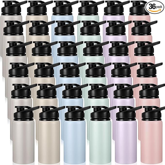 Domensi 36 Pack Aluminum Water Bottle Bulk Reusable Water Bottle, Lightweight Easy Carry Leakproof with Snap Lid Travel Bottles, for Gym Outdoor Sports Cycling Camping Fishing (20oz,Morandi Colors)