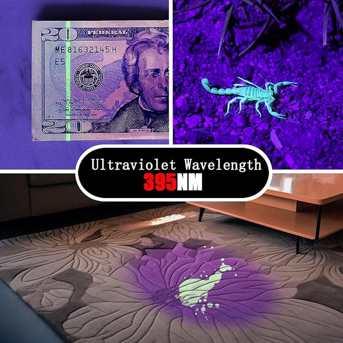 UV Flashlight 2 Pack Ultraviolet, 395nm Mini Penlight Portable and Compact Black Light for Pet Urine and Stain Detection, Hotel Cleaning, ID Check, Handheld Detector