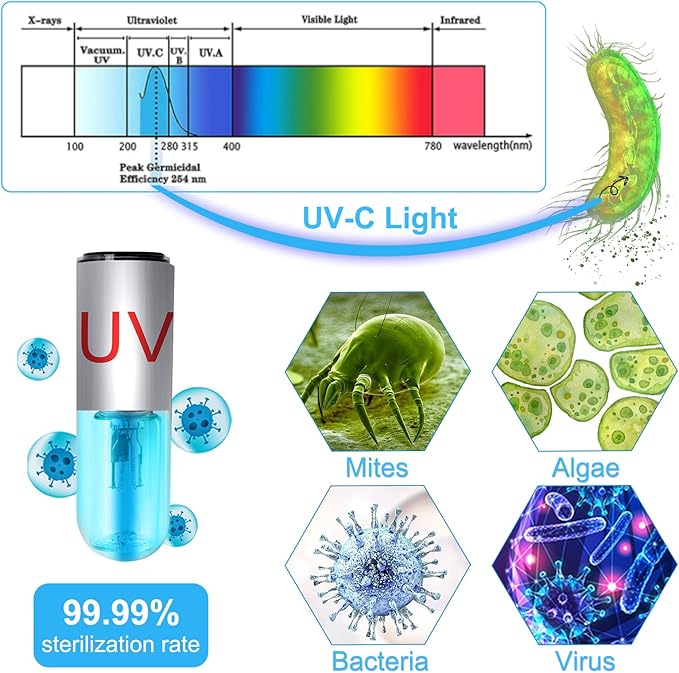 TAISHAN 3W Mini Aquarium Algae Removal Light With Timer, Waterproof Green Clear Light for Fish Tank, Pond, Swimming Pool
