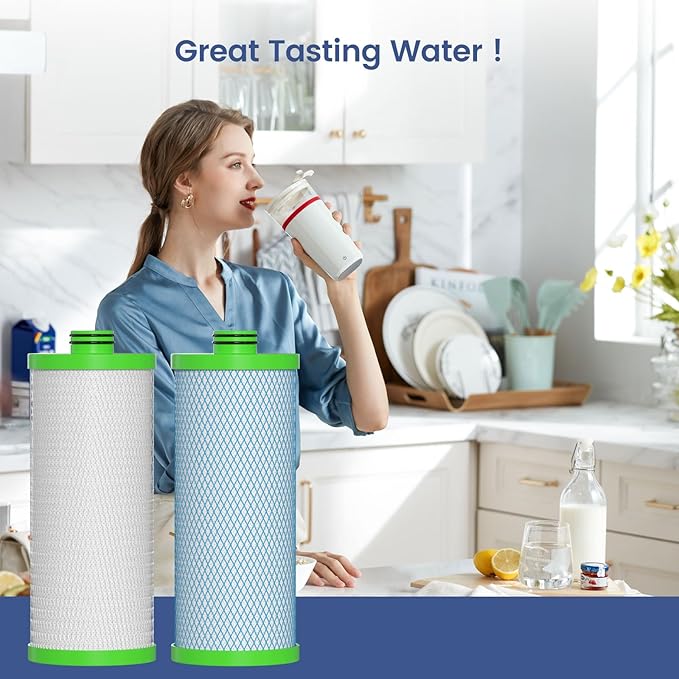 AO-US-200-R Water Filter Replacement Cartridge Compatible with AO Smith Advanced Water Filtration System, 2 Set (4 Count)