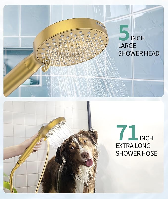 SR SUN RISE Filtered Shower Head with Handheld High Pressure 9 Spray Mode Showerhead Detachable Shower Head Water Softener Filters 1 Filter Brushed Gold