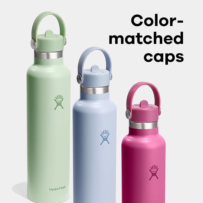 Hydro Flask Water Bottle - Insulated Stainless Steel - Straw Lid, Non Spill, Leakproof 24 Oz Birch Gray