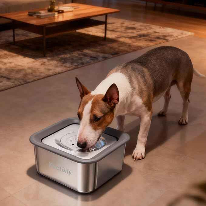 Kactoily 3L No-Spill Dog Water Bowl, Large Capacity Slow-Drinking Pet Water Feeder with Anti-Splash Floating Disk and Non-Slip Base (Square Dog Bowl)