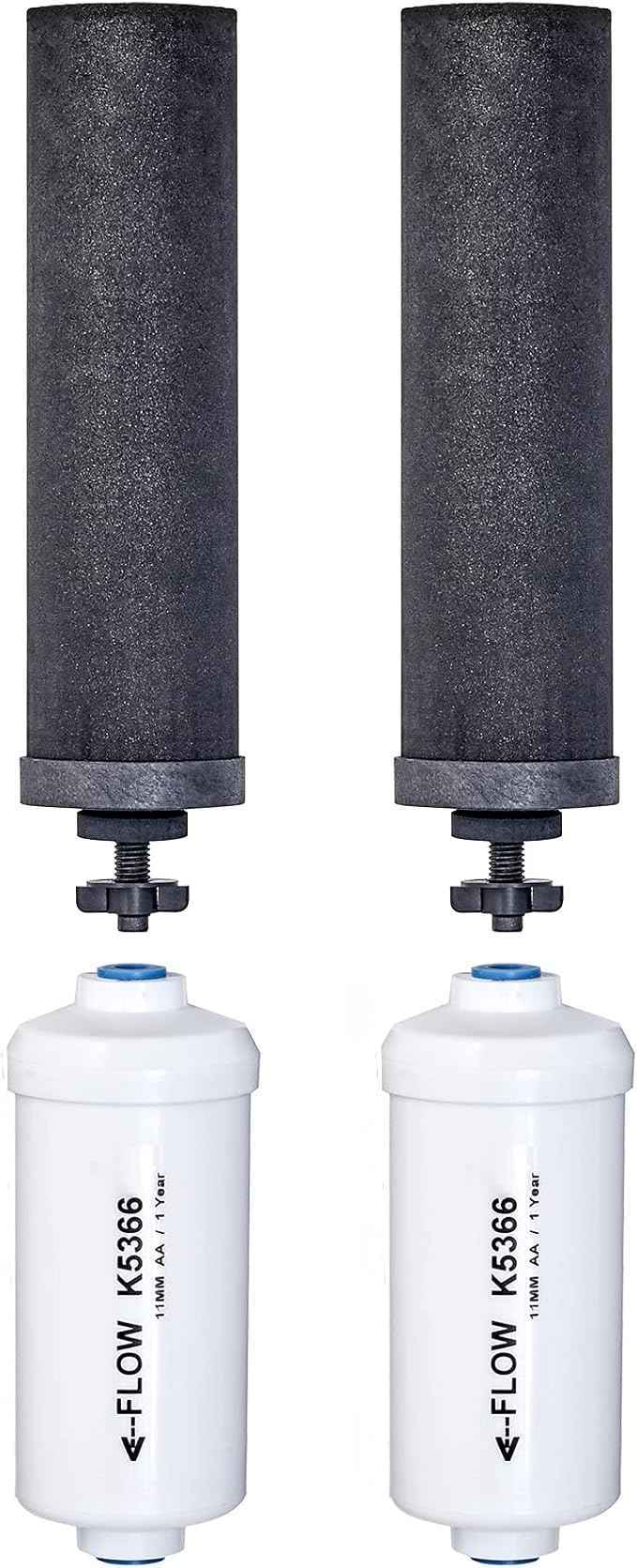 Set of 2 Berkey Authentic Black Berkey Elements (BB9-2) and 2 PF-2 Fluoride Reduction Elements - Combo Pack