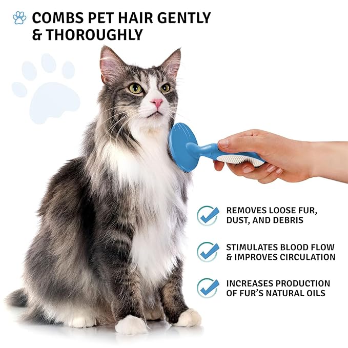 Round Bristle Pet Brush for Dogs and Cats - Soft Dog Brush for Grooming Short or Long Hair - Gentle Tool for Sensitive Skin Removes Dander, Dirt, and Detangles (Blue) - AquaVibe