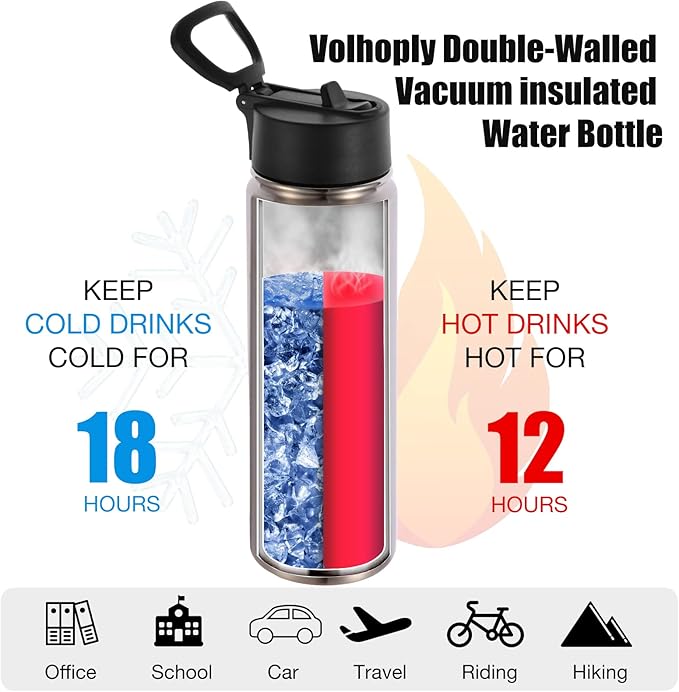 Volhoply Insulated Water Bottles with Straw Bulk 4 Pack, 22 oz Stainless Steel Sports Bottle with Handle Lid, Double Walled Vacuum Travel Water Cups with Wide Mouth for School Hiking(Silver,4 Set)