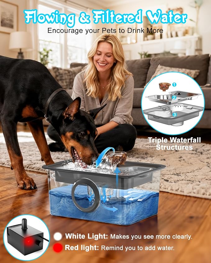 3-Gallon Large Dog Water Fountain with Filter, Stainless Steel Automatic Pet Fountain, Ultra Quiet Pump & Easy-Clean Top for Big Dogs, Cats, Multiple Pets