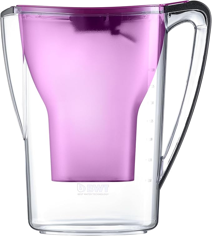 BWT Polymer Plastic Water Filter with Filter Set 6/12, Dark Purple, 12 (EU)