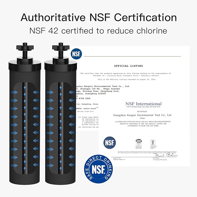 2-9BB Water Filters, Black 2-9BB Purification Elements Certified by NSF/ANSI 42, for Berkey 2-9BB Black Filters Replacement Compatible with Berkey Gravity Filtration System (Pack of 4), Large