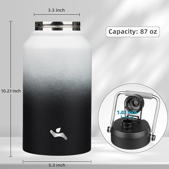 Jug with Handle,87 oz Insulated Water Bottle with Carrying Pouch,Double Wall Vacuum Stainless Steel Metal Bottle,Day Night