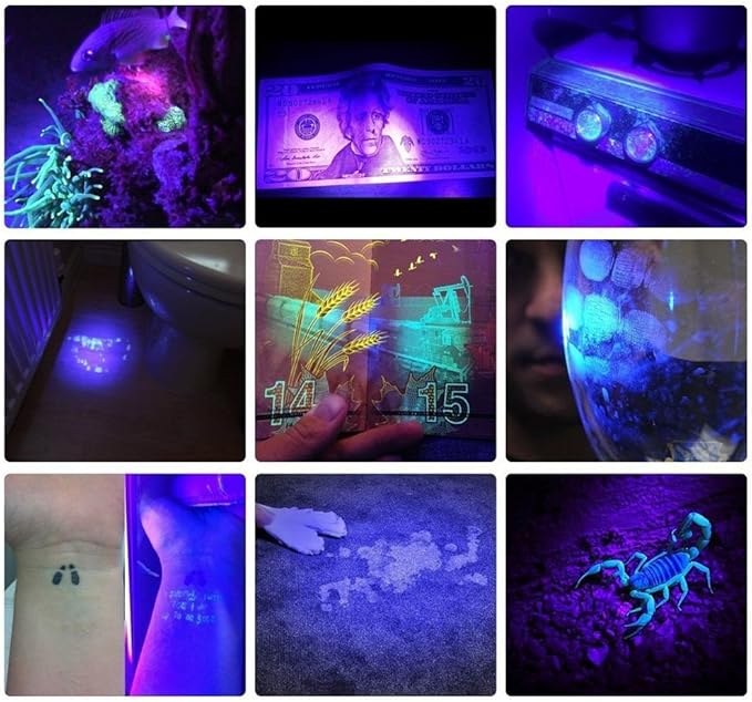 ALONEFIRE SV65 5W 365nm UV Flashlight USB Rechargeable Ultraviolet Mini UV Light ID Checking Black Light for Pet Urine Detector, Resin Curing, Scorpion, Bed Bug, Leak, Minerals with Built-in Battery