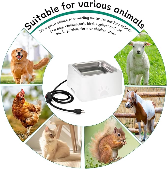 Large Heated Water Bowl for Outdoor Dog & Cat, Outside Animal Waterer With Removable Stainless Bowl, No Freeze Pet Dish for Rabbit, Chicken, Poultry, Squirrel