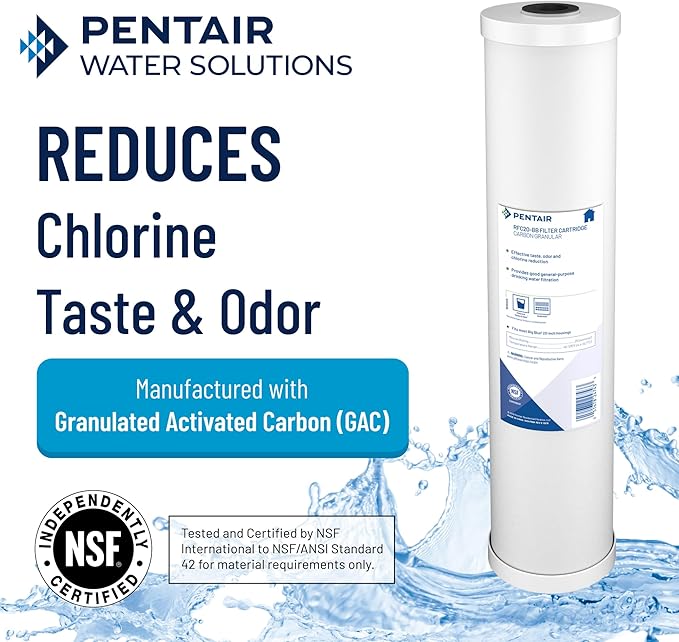 Pentair Pentek RFC-20BB Big Blue Carbon Water Filter, 20-Inch, Whole House Heavy Duty Radial Flow Carbon Replacement Cartridge with Granular Activated Carbon (GAC) Filter, 20" x 4.5", 25 Micron