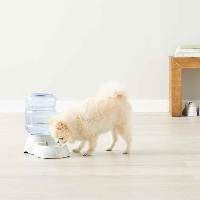 Amazon Basics Gravity Pet Water Dispenser for Cat and Dog, Easy to Clean, 1 Gallon Capacity, Small, Gray