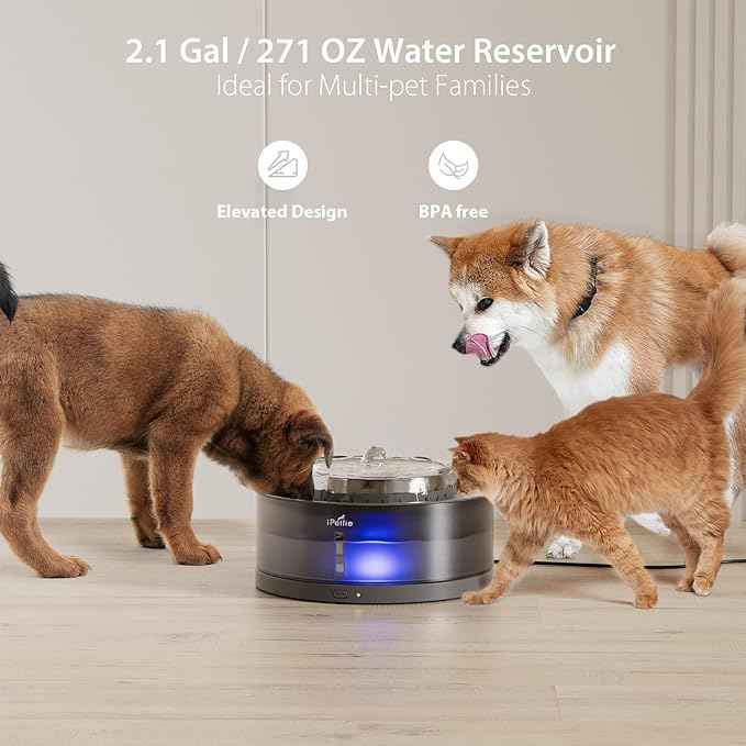 iPettie Cake Dog Water Fountain, 8L/2.1Gal Large Capacity Automatic Dispenser, Wireless Pump Filtered Waterer Purifier with BPA-Free Stainless Steel Bowls, Dishwasher Safe, Grey