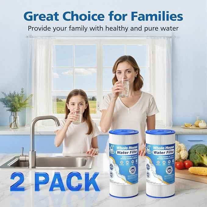 5 Micron 10" x 4.5" Whole House Water Filter Compatible with GE FXHSC, GXWH40L, Plumber W50PEHD, Culligan R50-BBSA, Pentek R50-BB, W10-PR, DuPont WFHDC3001, W50PEHD, High Flow Sediment Filters, 2 Pack