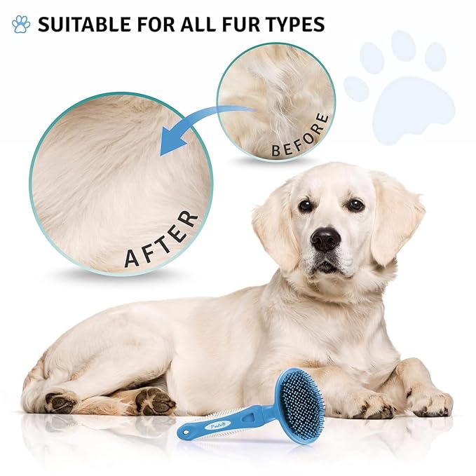 Round Bristle Pet Brush for Dogs and Cats - Soft Dog Brush for Grooming Short or Long Hair - Gentle Tool for Sensitive Skin Removes Dander, Dirt, and Detangles (Blue) - AquaVibe