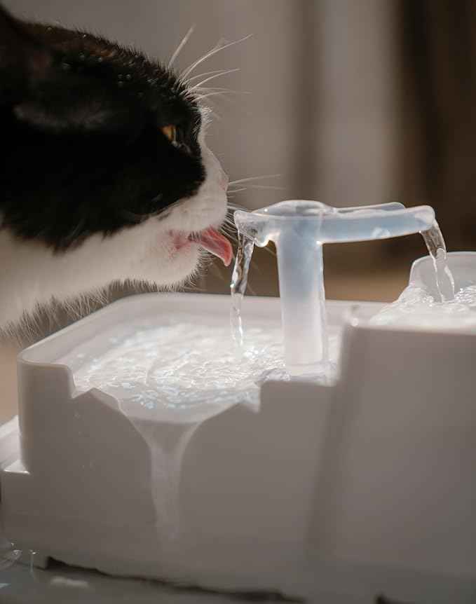 Dog Water Fountain Cat Automatic Water Bowel 3-Stage Design for Multi Pets Water Dispenser for Drinking Waterfall Fountain Kitty with Isolating Pump Filter, BPA-Free Easy Clean Quiet Indoor -2L/67oz