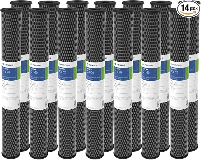 Pentair Pentek C1-20 Carbon Water Filter, 20-Inch, Whole House Dual Purpose Powdered Activated Carbon-Impregnated Cellulose Replacement Cartridge, 20