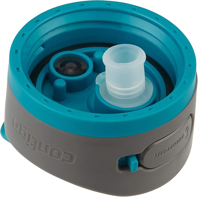 Contigo Ashland 2.0 Leak-Proof Water Bottle with Lid Lock and Angled Straw, Dishwasher Safe, Interchangeable Lid, 24oz, Juniper