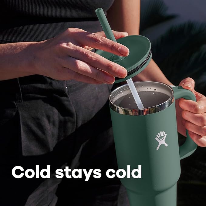 Hydro Flask Travel Tumbler with Handle, Lid and Straw - Insulated Stainless Steel in 32 Oz Cactus