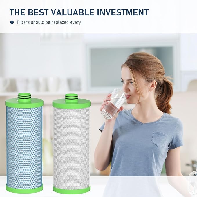 2-Stage AO-US-200-R Clean Water Filter is Compatible with AO Smith Claryum Water Filter System, 1 Set