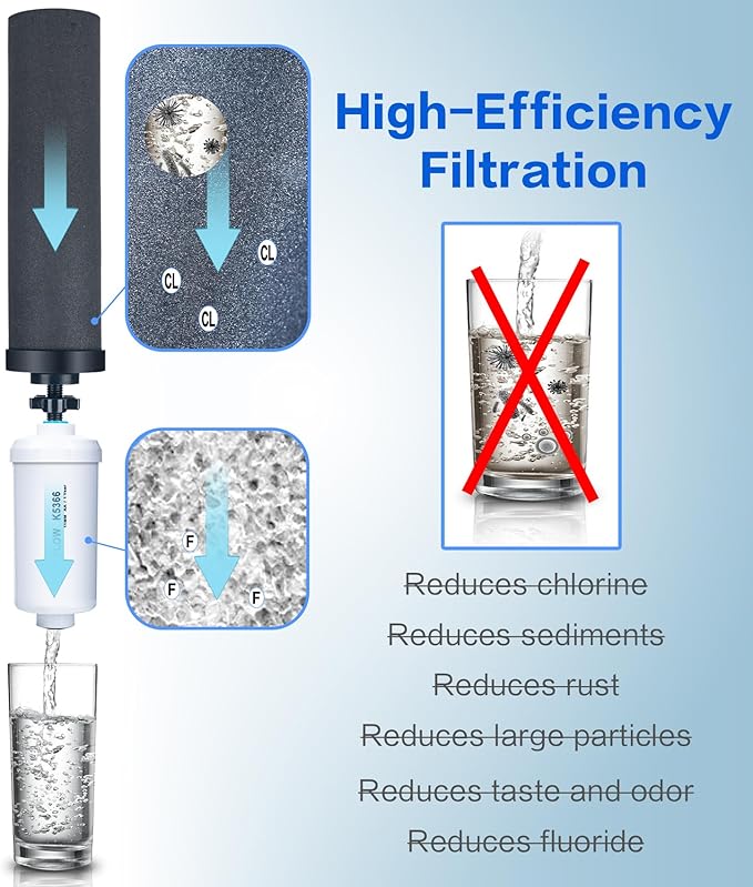 Gravity Water Filter Replacement for Berkey®, 4-Pack Purification Elements - 2 BB9-2® Black Carbon & 2 PF-2® Fluoride Filters, Compatible with Berkey® Gravity Filtration Systems