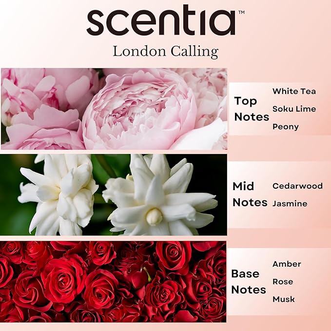Hotel Diffuser Oil Inspired by Ferrari - 20 ml 0.67 fl oz - Essential Oil Blendwith White Tea, Cedarwood & Soku Lime for Aromatherapy Diffusers and Humidifiers - London Calling