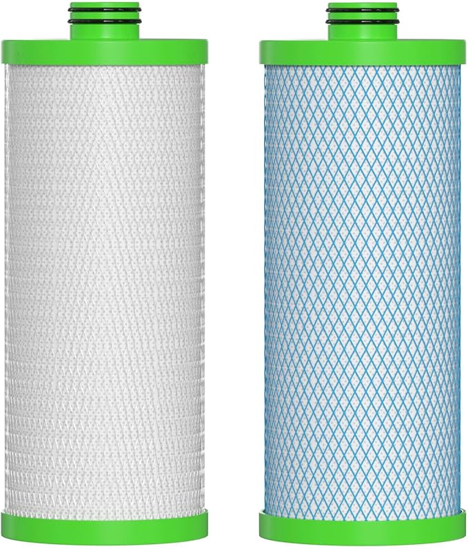 AO-US-200-R Water Filter Replacement Cartridge Compatible with AO Smith Advanced Water Filtration System, 1 Set (2 Count)