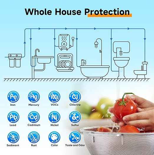 PUREPLUS 2-Stage Whole House Water Filtration System, Reduces Chlorine, Odor, Heavy Metals & Rust, 10"x4.5" Housing, 1" Inlet/Outlet, PP Grooved Sediment & KDF Carbon Filters, Pressure Gauges Included