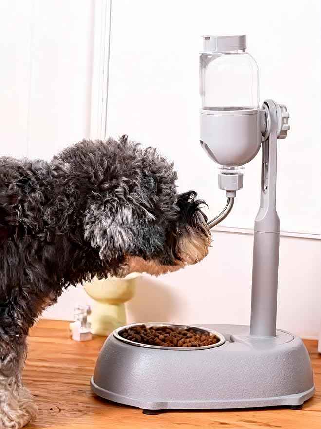 Pet Water Dispenser, Pet Standing Water Dispenser Bowl, 2 in 1 500ml Multifunctional Detachable Height with Stand for Dogs Cats