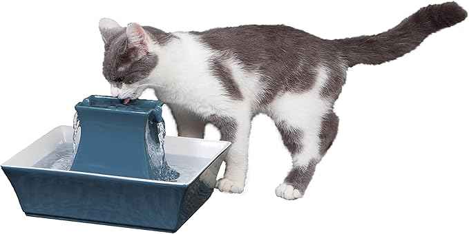 PetSafe Drinkwell Pagoda Pet Fountain and Cleaning Kit - 70 oz Ceramic Elevated Cat and Dog Water Fountain with Filters and Fountain Cleaning Brushes