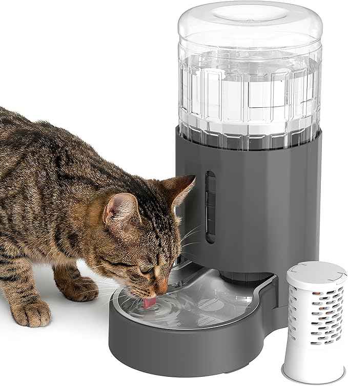 Cat Water Dispenser with Filter and Stainless Steel Bowl, Automatic Gravity Water Dispenser for Cats or Small Medium Size Dogs, Large Capacity, Easy to Clean and Safe for Pets (4L Grey)