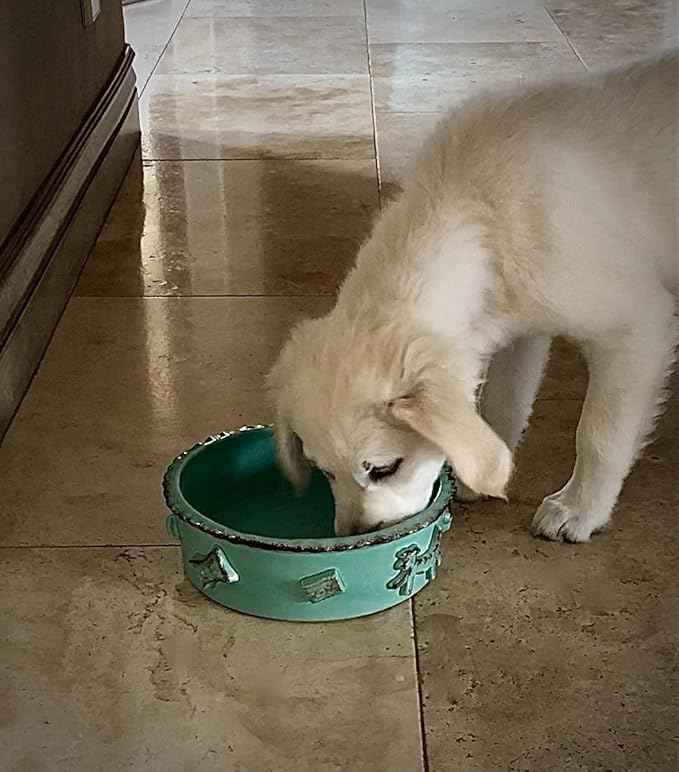 Carmel Ceramica Pdsa3001 Aqua/Green Dog Food/Water Bowl, Small