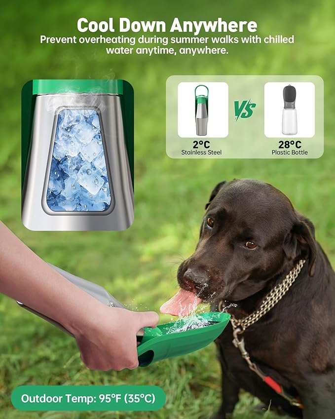 Stainless Steel Dog Water Bottle - 27 oz Portable Travel Dog Bottle & Bowl, Leak Proof Stainless Steel Metal Pet Water Bowl Dispenser for Camping, Hiking, Traveling, Walking (27oz, Green) - AquaVibe