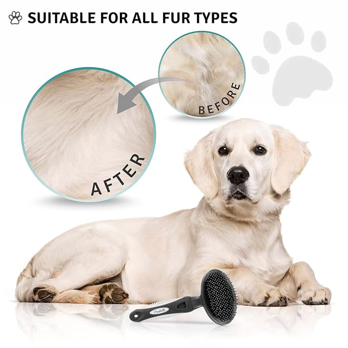 Round Bristle Pet Brush for Dogs and Cats - Soft Dog Brush for Grooming Short or Long Hair - Gentle Tool for Sensitive Skin Removes Dander, Dirt, and Detangles (Black) - AquaVibe