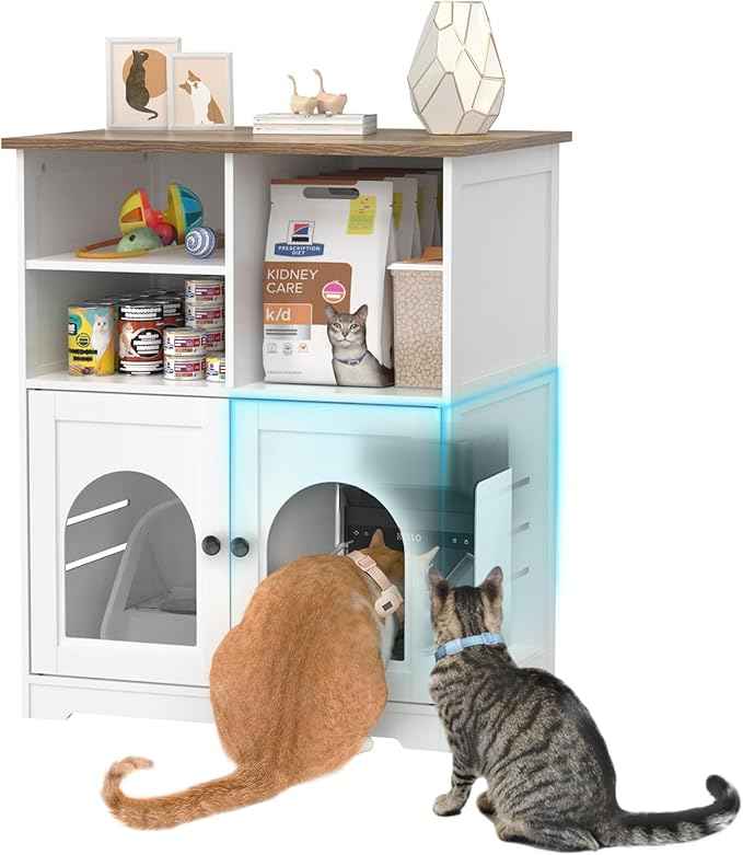 GDLF Cat Feeding Station, Cat Cabinet for Microchip Feeder with Dog-Proof Design, Specially Fits Surefeed & Automatic Pet Feeder for Multi-Pets Home