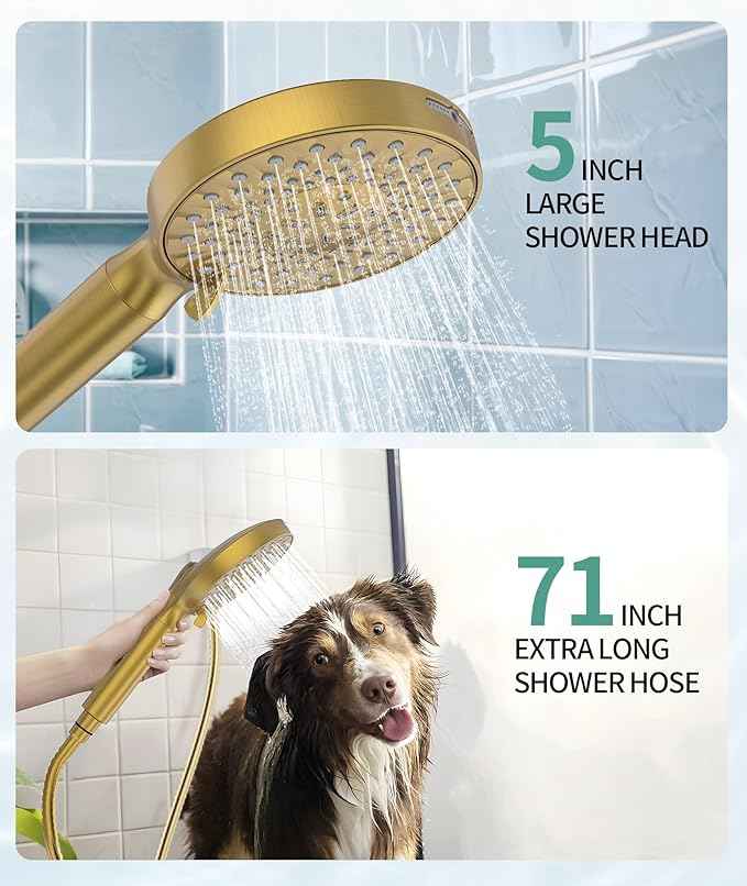 SR SUN RISE Filtered Shower Head with Handheld High Pressure 9 Spray Mode Showerhead Detachable Shower Head Water Softener Filters Beads for Hard Water Remove Chlorine 1 Filter Brushed Gold