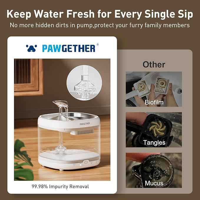 PAWGETHER® Cat Water Fountain 1 Filter Included + Extra 3 Replacement Filters, Ultra Quiet Pumpless Cat Fountain with Stainless Steel Tray, 67oz/2L Cat Fountains for Drinking with 360° Motion Sensor